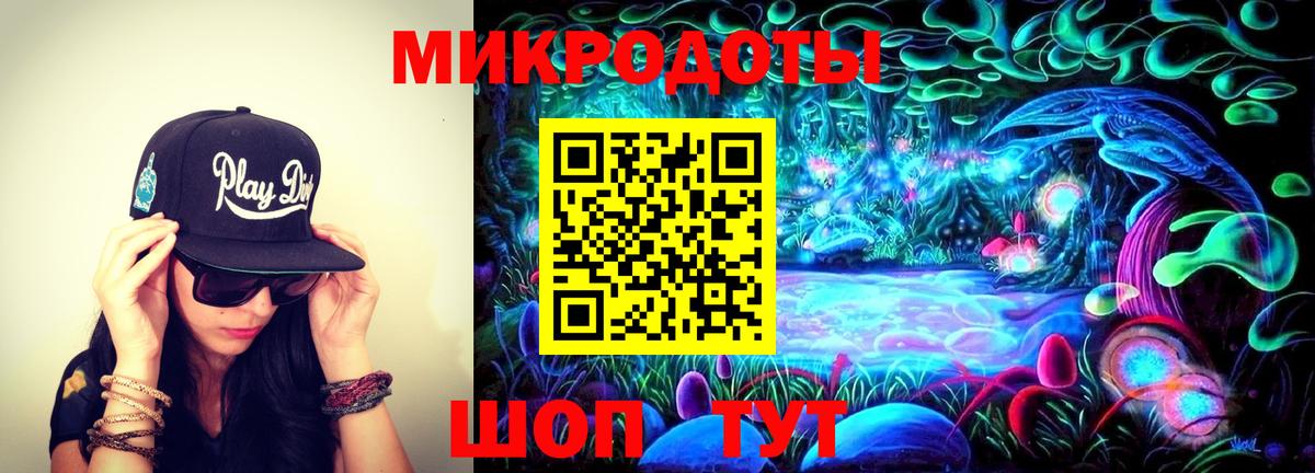Псилоцибиновые грибы MAGIC MUSHROOMS Великий Новгород