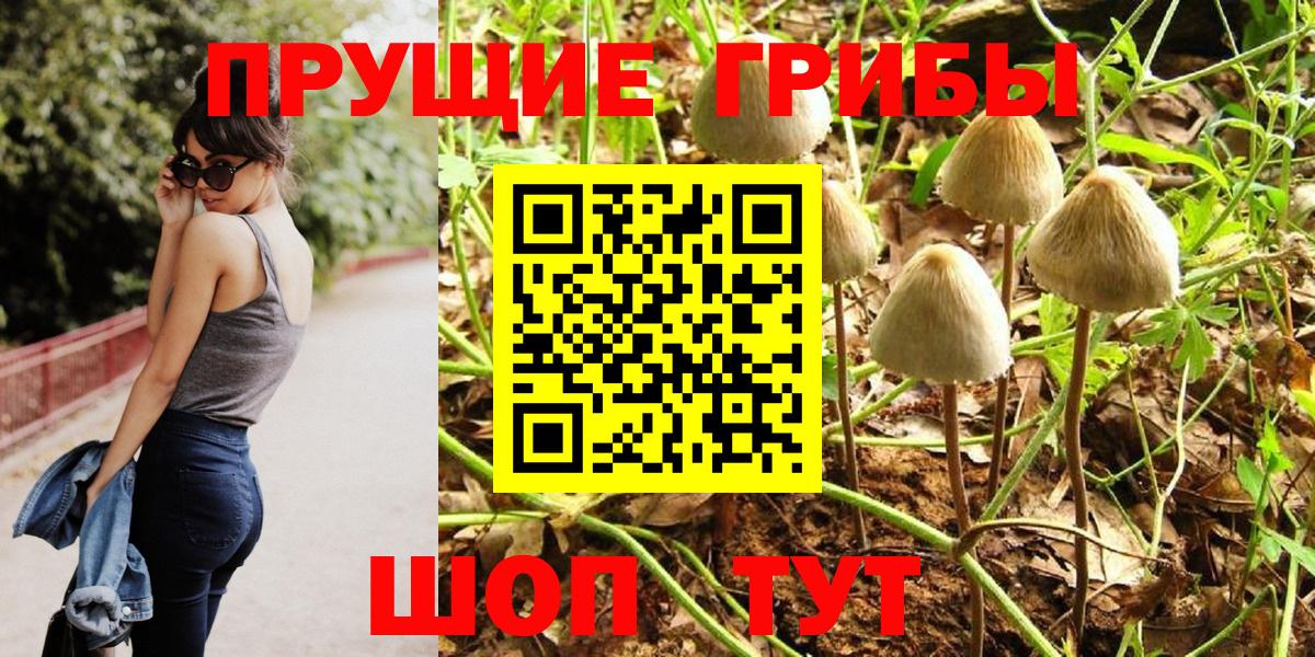 Псилоцибиновые грибы Psilocybine cubensis  купить наркоту  Галлюциногенные грибы прущие грибы  Великий Новгород  Вход с VPN 